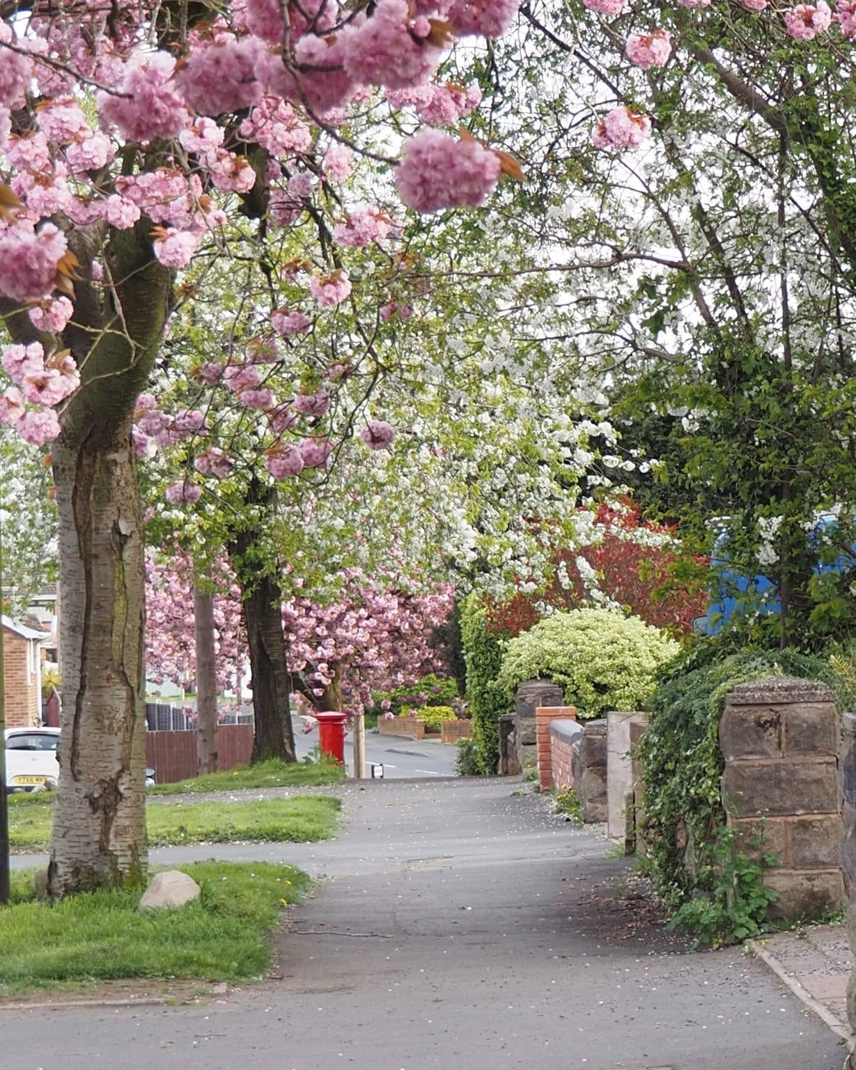Stourbridge Property and Area Guide