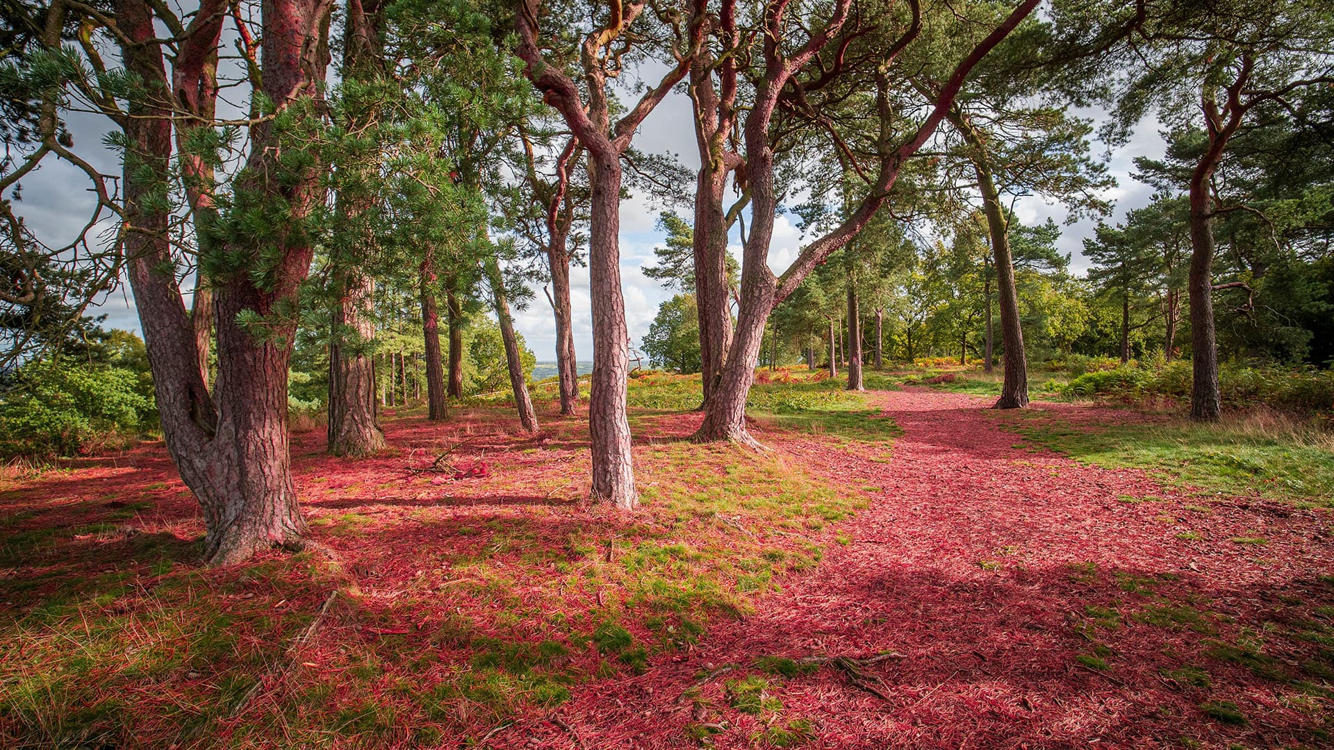 A region of real opportunity