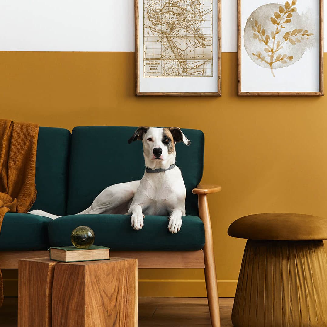 Buying a Property in Rubery