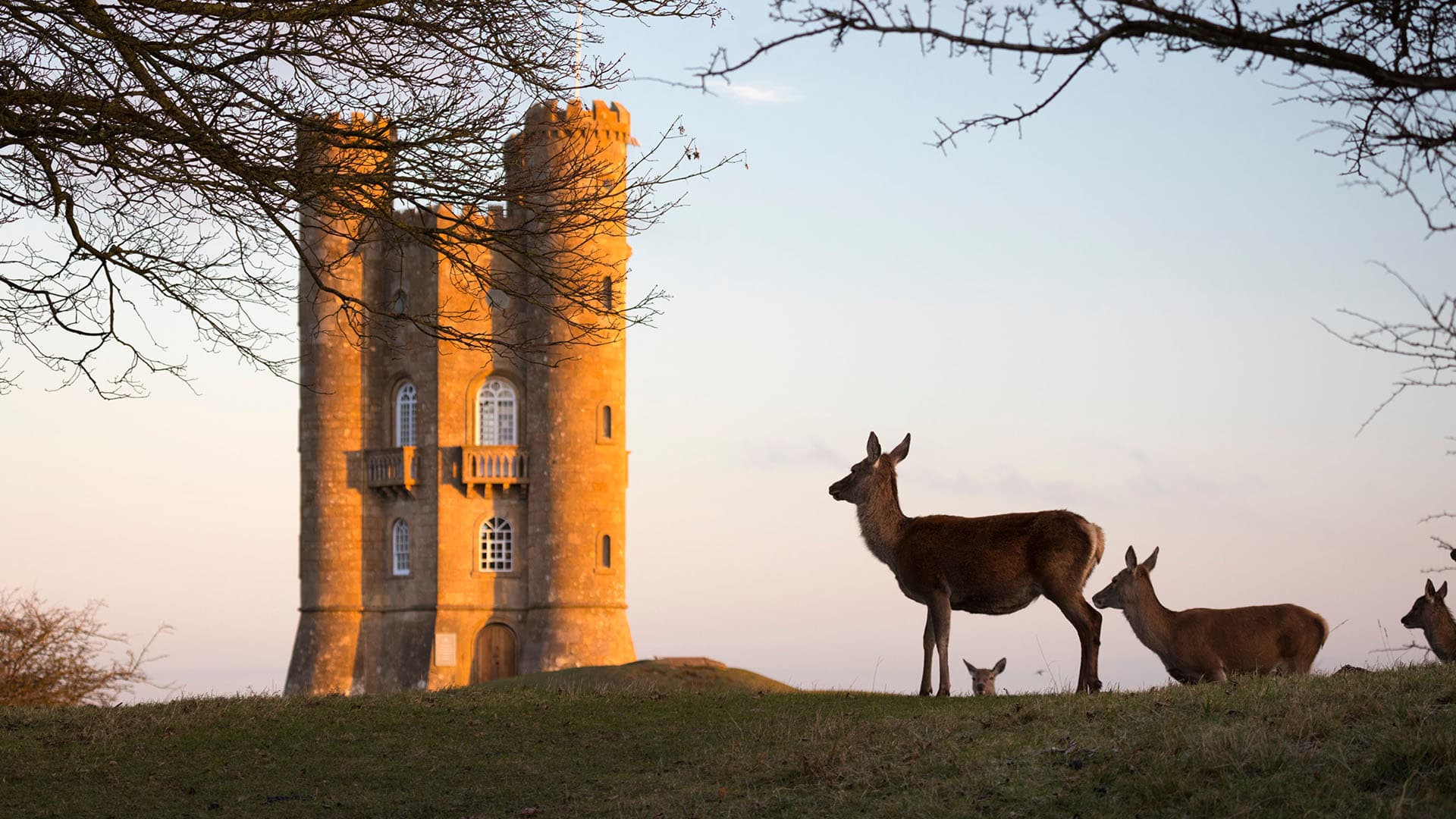 Buy-to-Let Hotspots in Worcestershire and the West Midlands and Where Investors Should Look