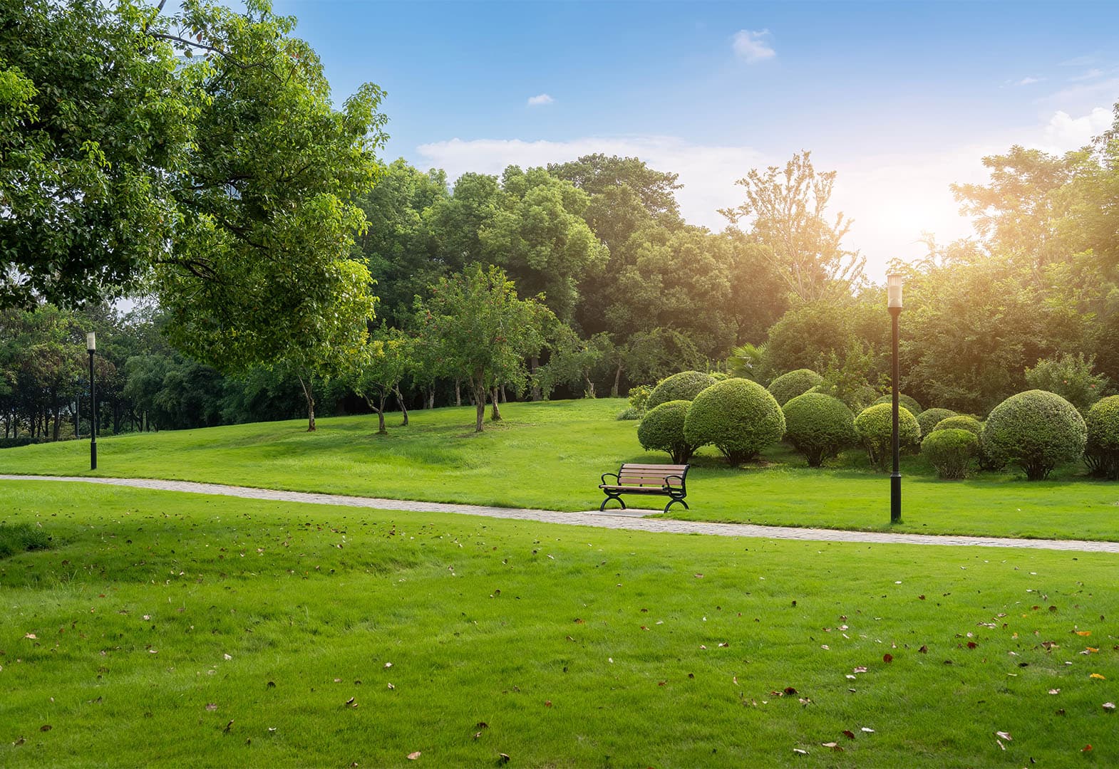 Parks and Green Spaces