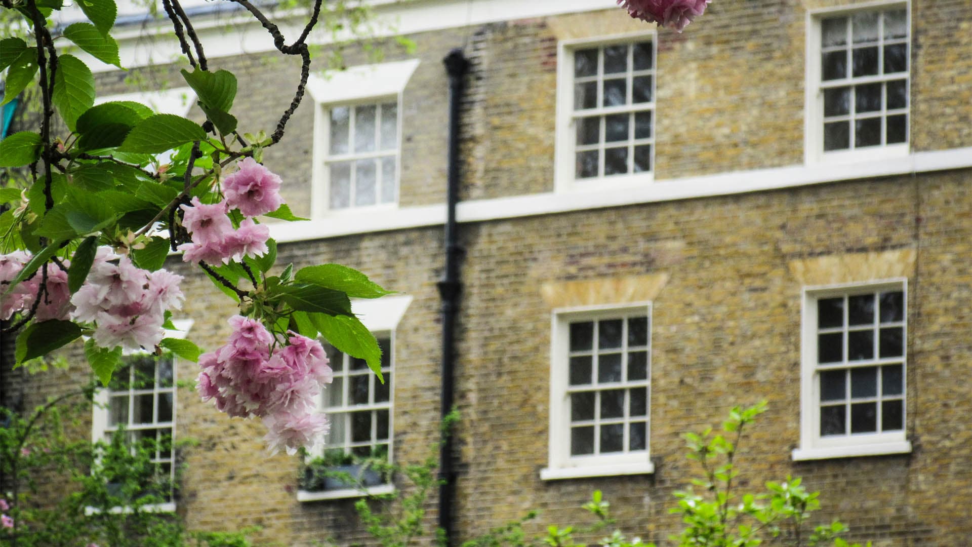 Dickens Heath – Neighbourhood Guide