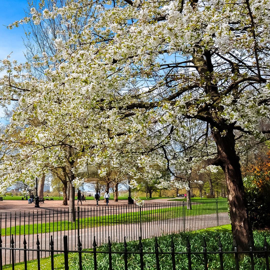 Community and Safety