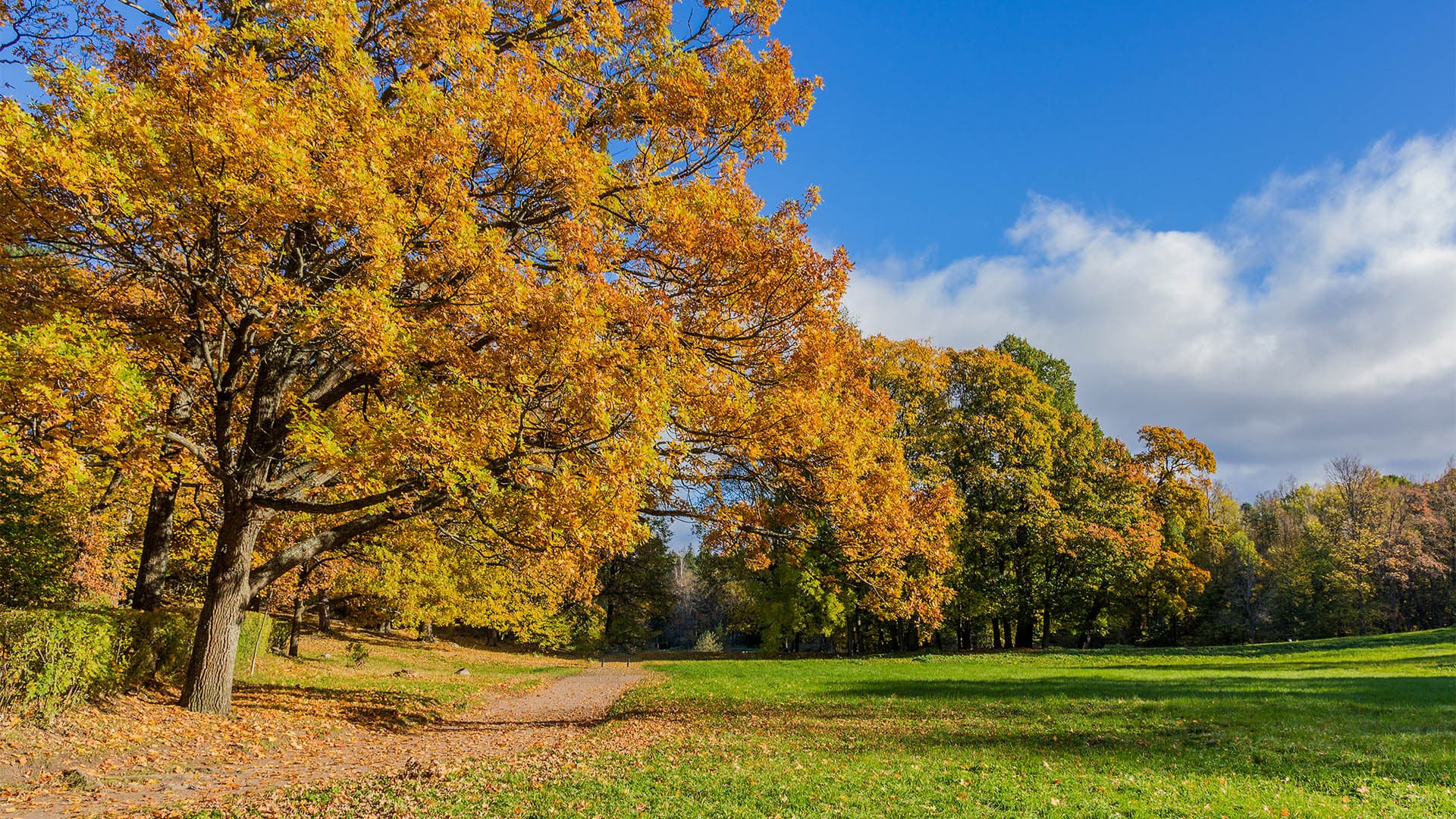 Battenhall, Worcester Neighbourhood Guide