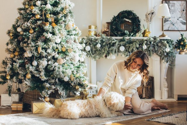 Lounge with Christmas tree, fireplace, woman and her dog